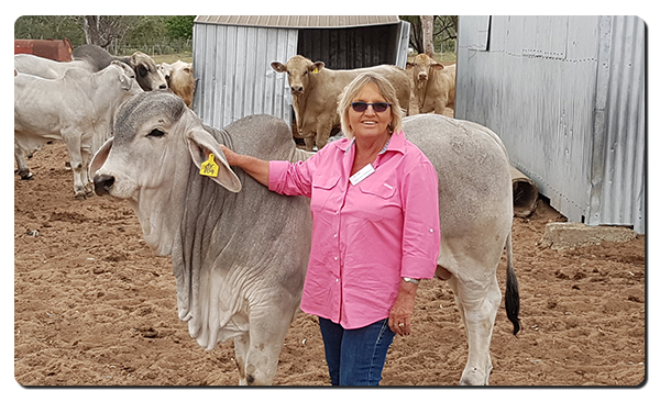 Annavale Station bull breeder Sue Hammer.
