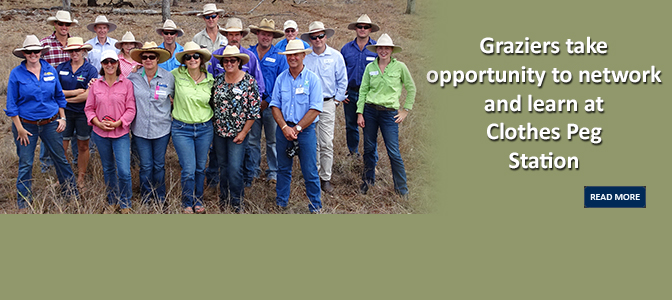 Graziers network and learn