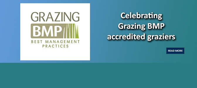 Celebrating Grazing BMP accredited graziers