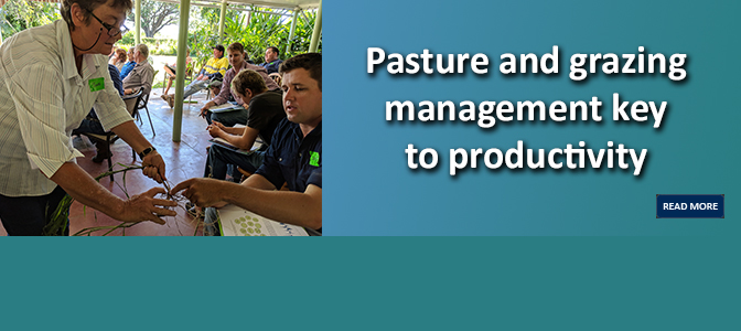 Pasture and grazing management key to productivity