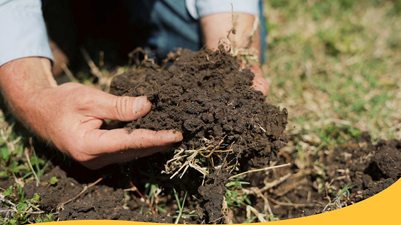 Toolbox to assess soil health