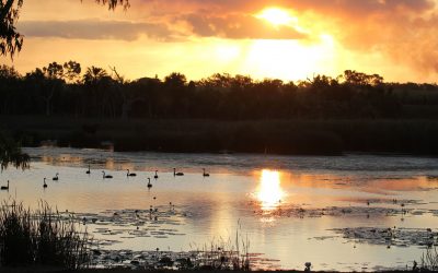 World Wetlands Day: shining a spotlight on our beautiful wetlands