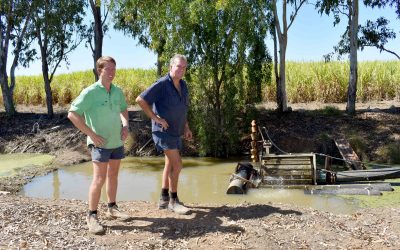 Automated irrigation saves time and money for Burdekin growers